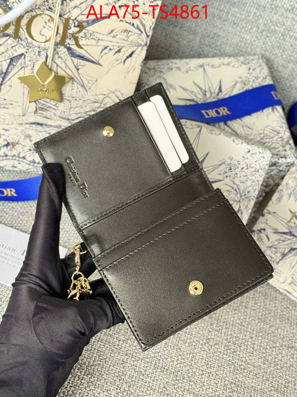 ID: TS4861 $: 75USD,