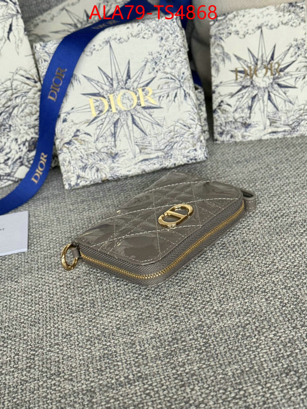 ID: TS4868 $: 79USD,