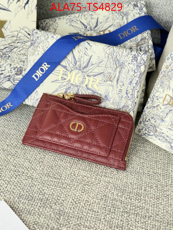 ID: TS4829 $: 75USD,