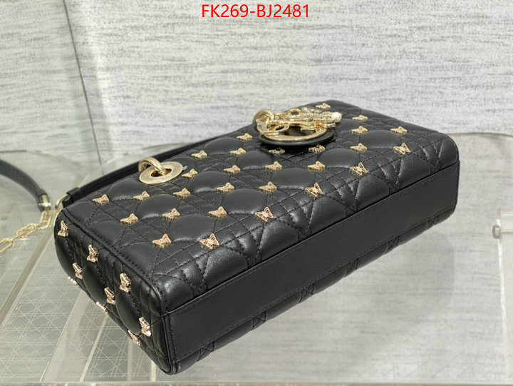 ID: BJ2481 $: 269USD,