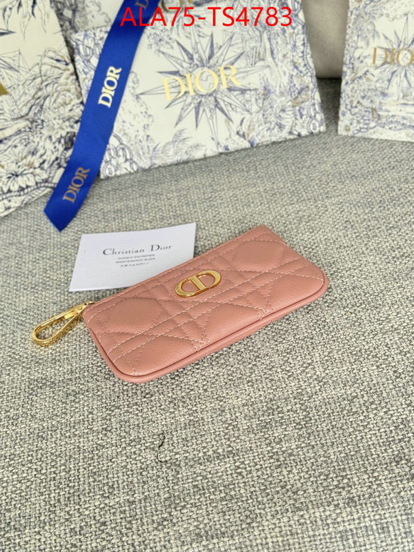ID: TS4783 $: 75USD,