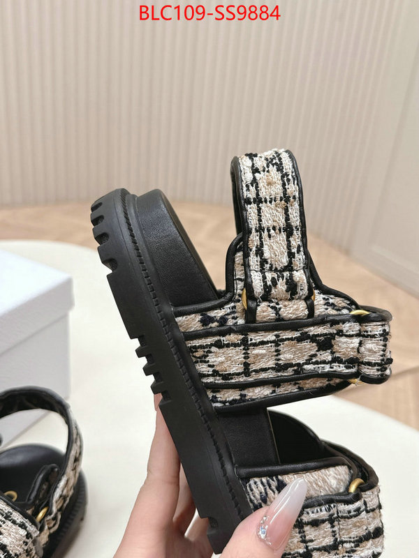 Women Shoes-Dior wholesale 2024 replica ID: SS9884 $: 109USD