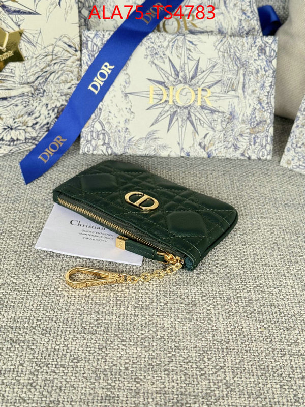 ID: TS4783 $: 75USD,