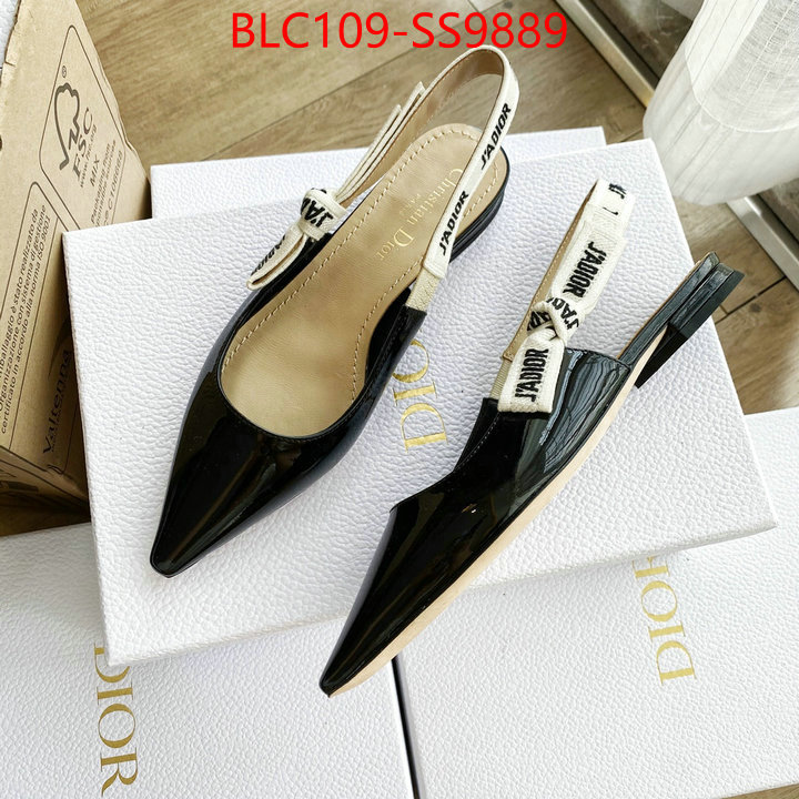 Women Shoes-Dior best knockoff ID: SS9889 $: 109USD