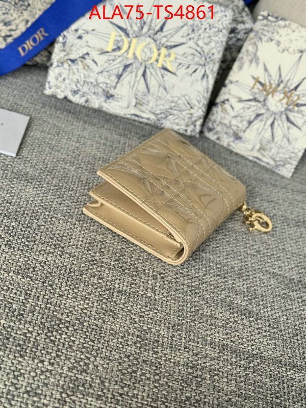 ID: TS4861 $: 75USD,
