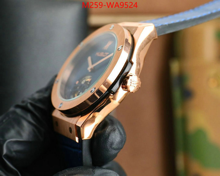 ID: WA9524