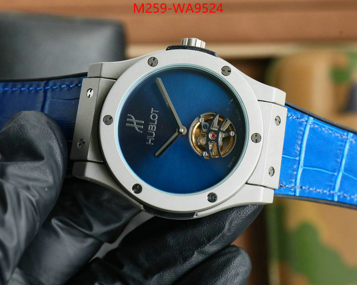ID: WA9524