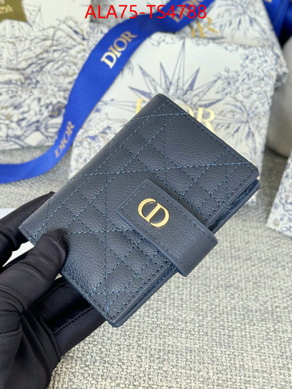 ID: TS4788 $: 75USD,