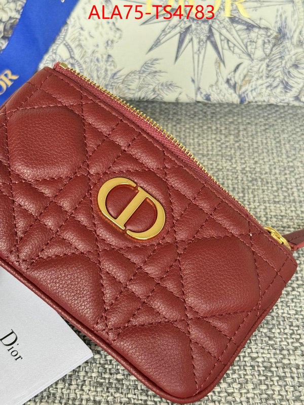ID: TS4783 $: 75USD,