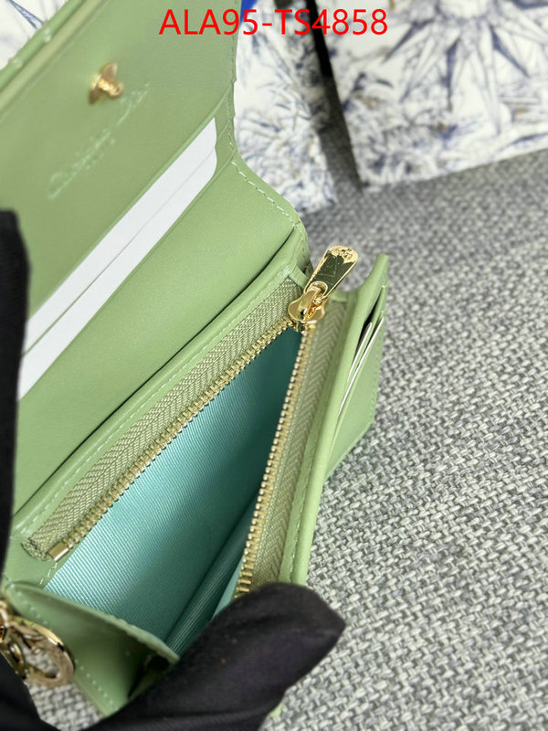 ID: TS4858 $: 95USD,