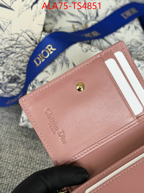 ID: TS4851 $: 75USD,