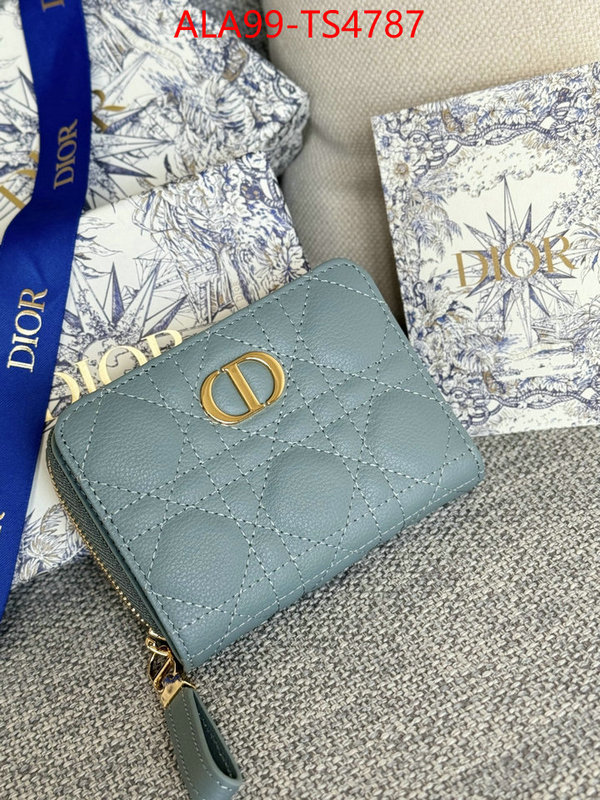 ID: TS4787 $: 99USD,