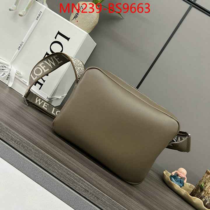 Loewe Bags(TOP)-Crossbody- luxury cheap ID: BS9663 $: 239USD,