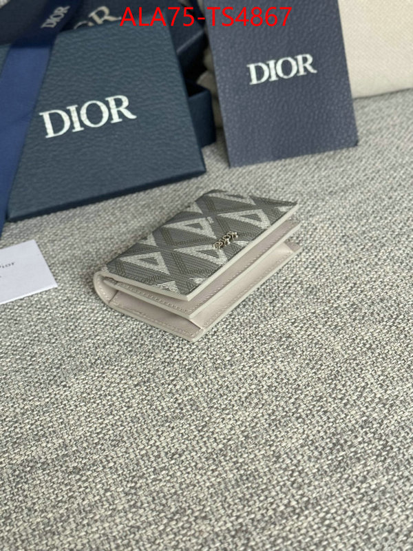 ID: TS4867 $: 75USD,