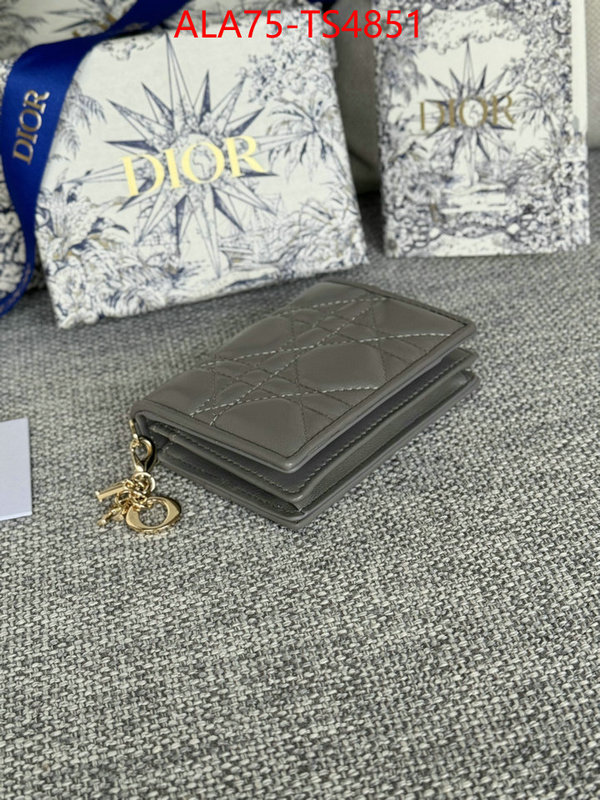 ID: TS4851 $: 75USD,