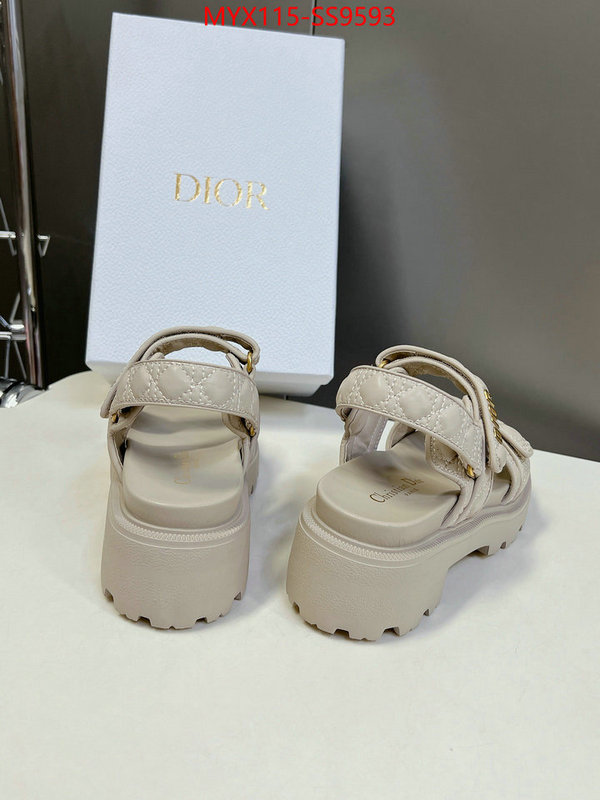 Women Shoes-Dior knockoff highest quality ID: SS9593 $: 115USD