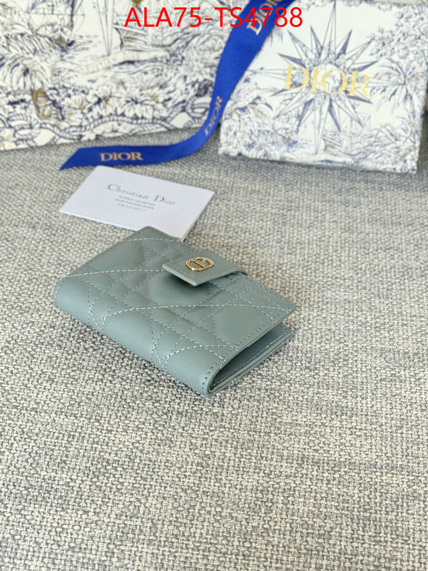 ID: TS4788 $: 75USD,