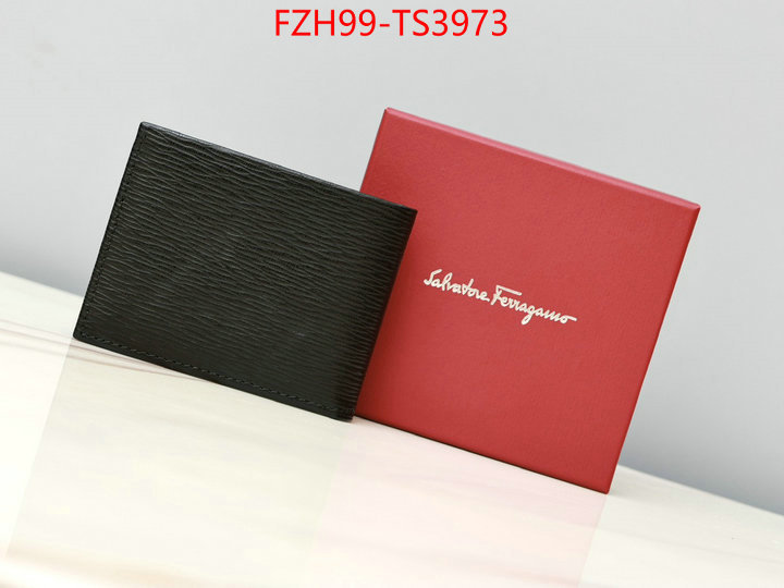 ID: TS3973 $: 99USD,