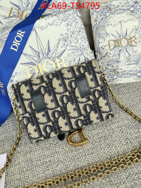 ID: TS4795 $: 69USD,