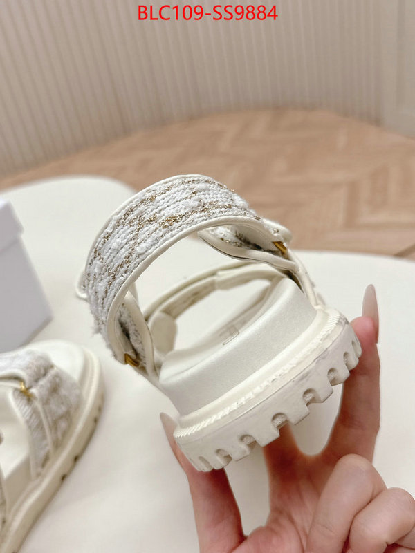 Women Shoes-Dior wholesale 2024 replica ID: SS9884 $: 109USD