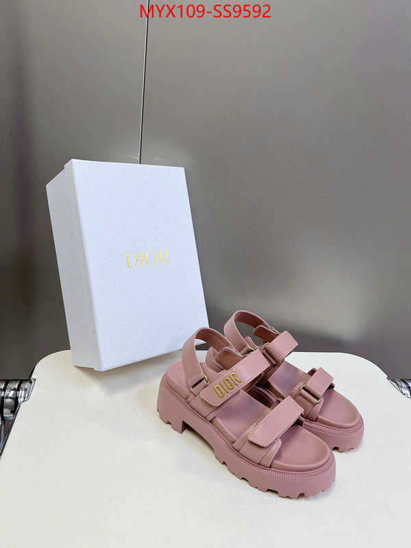 Women Shoes-Dior fashion designer ID: SS9592 $: 109USD