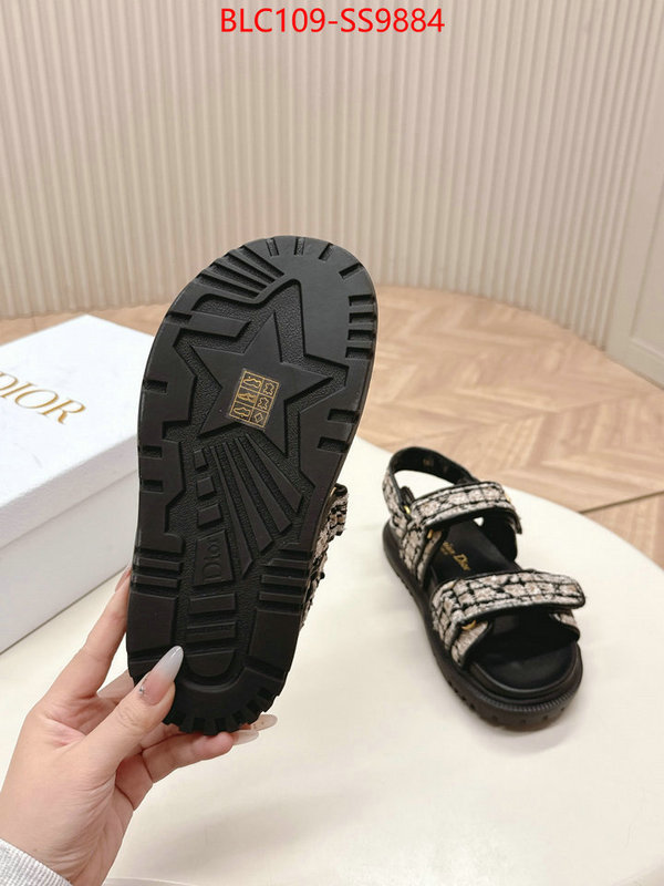 Women Shoes-Dior wholesale 2024 replica ID: SS9884 $: 109USD