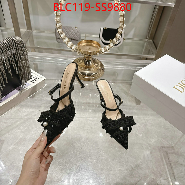 Women Shoes-Dior store ID: SS9880 $: 119USD
