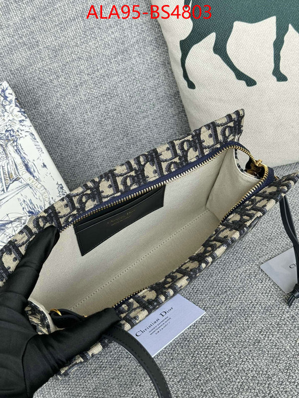 ID: BS4803 $: 95USD,