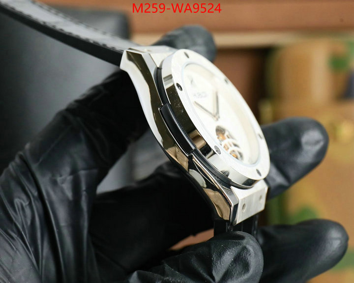 ID: WA9524