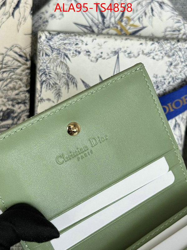 ID: TS4858 $: 95USD,