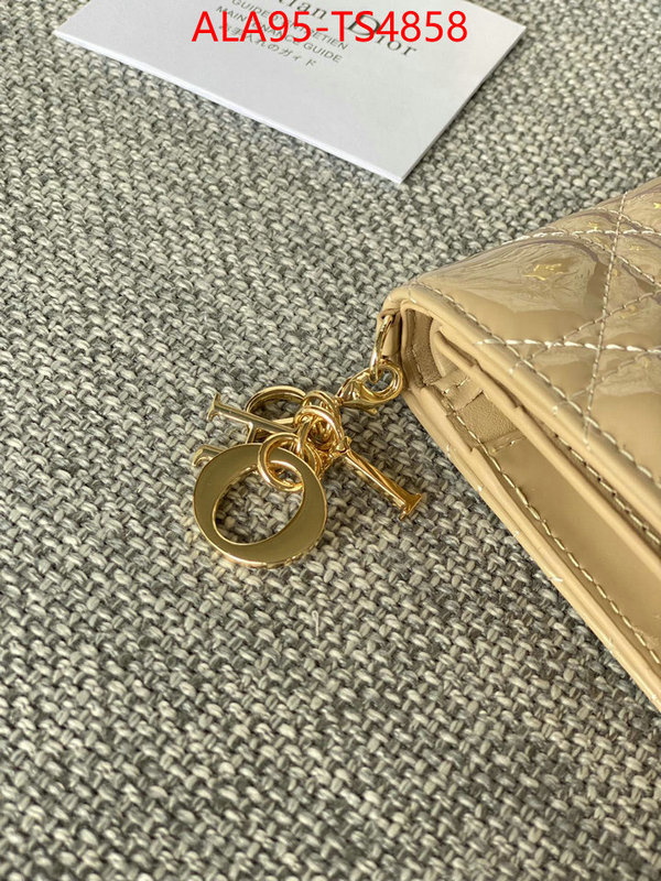 ID: TS4858 $: 95USD,