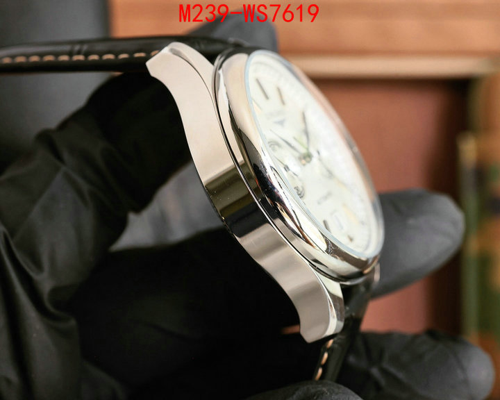 ID: WS7619