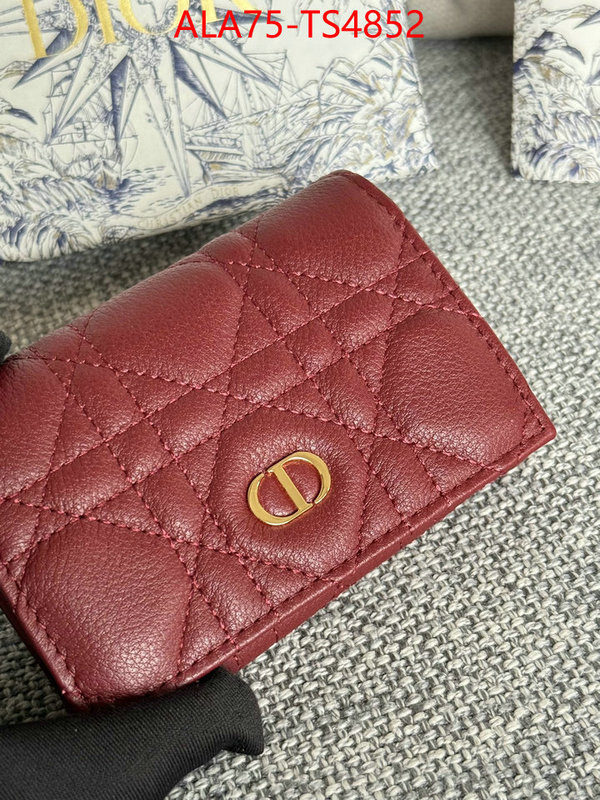 ID: TS4852 $: 75USD,