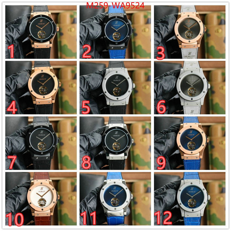 ID: WA9524