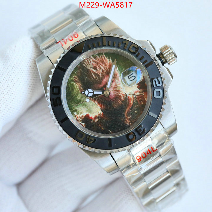 ID: WA5817