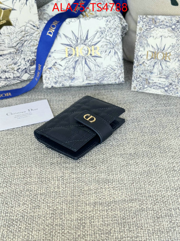 ID: TS4788 $: 75USD,