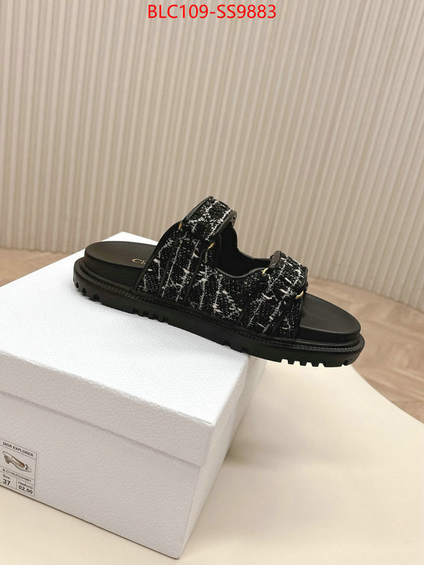 Women Shoes-Dior for sale online ID: SS9883 $: 109USD