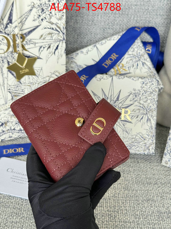 ID: TS4788 $: 75USD,