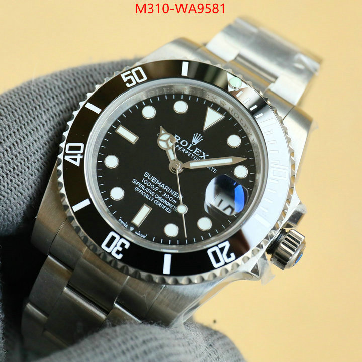 ID: WA9581