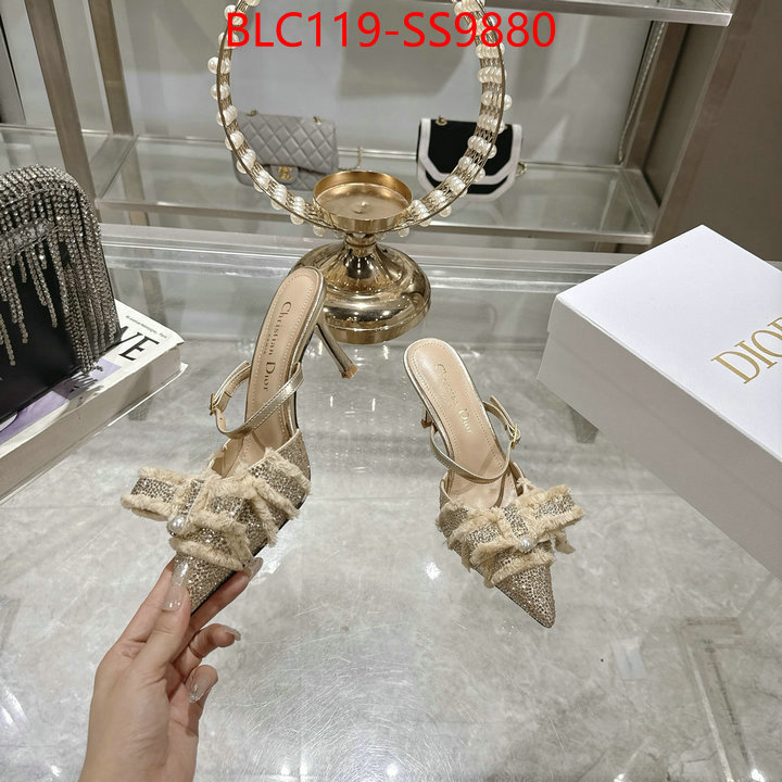 Women Shoes-Dior store ID: SS9880 $: 119USD