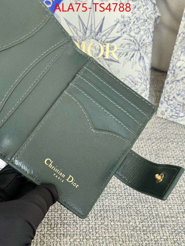 ID: TS4788 $: 75USD,