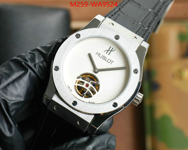 ID: WA9524