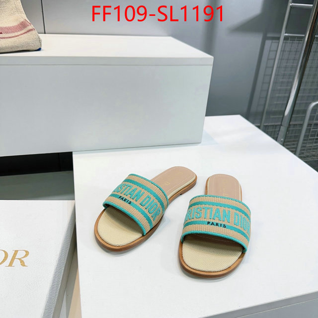 Women Shoes-Dior where to buy high quality ID: SL1191 $: 109USD