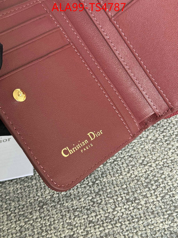 ID: TS4787 $: 99USD,