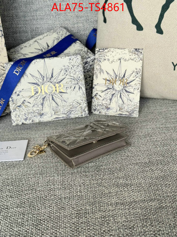 ID: TS4861 $: 75USD,