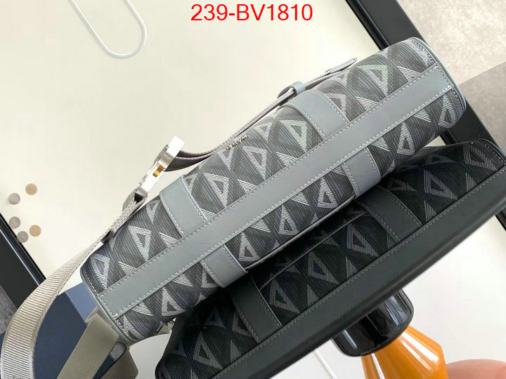 ID: BV1810 $: 239USD,