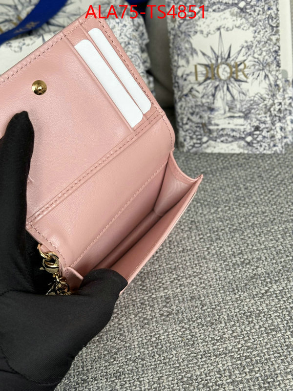 ID: TS4851 $: 75USD,