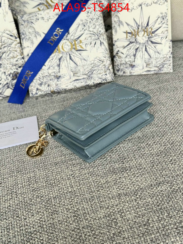 ID: TS4854 $: 95USD,