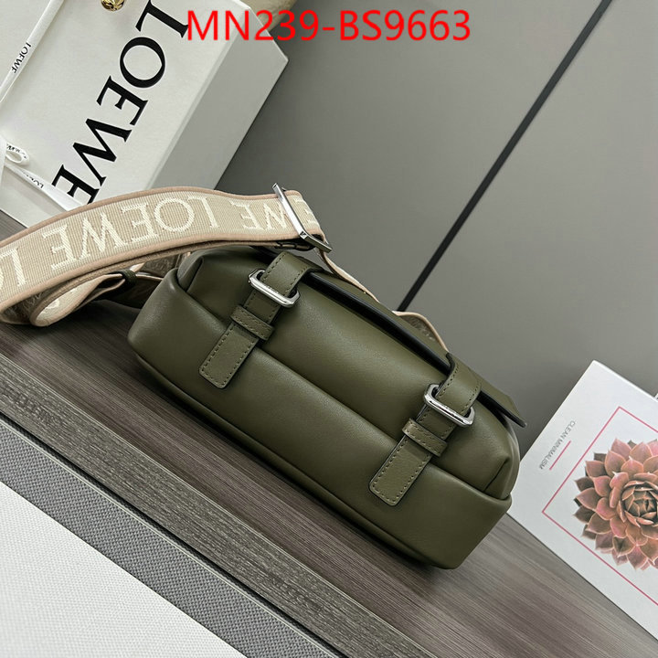Loewe Bags(TOP)-Crossbody- luxury cheap ID: BS9663 $: 239USD,