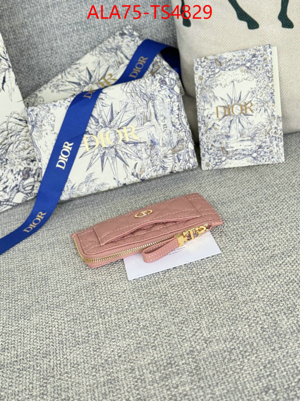 ID: TS4829 $: 75USD,